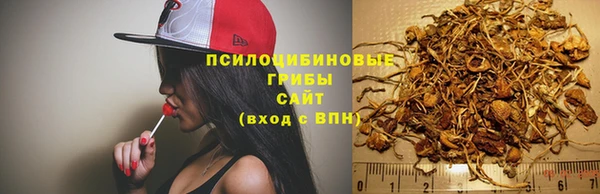 прущие грибы Белоозёрский