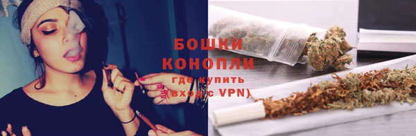 прущие грибы Белоозёрский