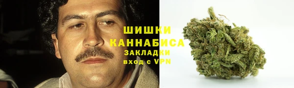 соль ск Белокуриха