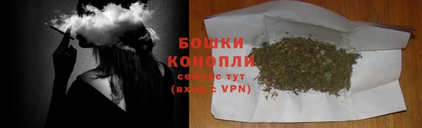 прущие грибы Белоозёрский