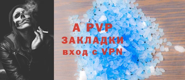 прущие грибы Белоозёрский