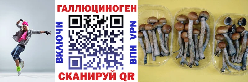 продажа наркотиков  Мурманск  Галлюциногенные грибы ЛСД 
